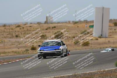 media/May-03-2025-Lucky Dog Racing (Sat) [[206de64b9d]]/Turn 6 (150pm-230pm)/